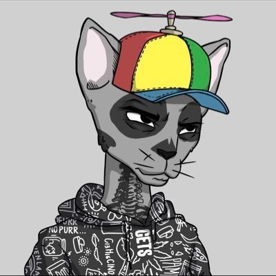 zhee_explores's profile picture