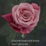 Фото профиля gaykan