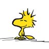 matt kozemski's profile picture