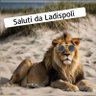rem11 profil fotoğrafı