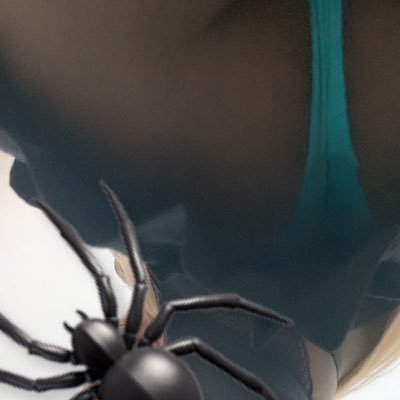 Prvrtdprttygirl's profile picture