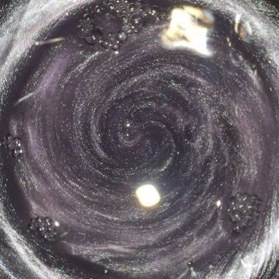 lysaajpg's profile picture