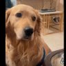 Zoey 的头像