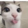 mxchaz profil fotoğrafı