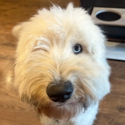 BLKMDL3's profile picture