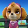 Carolina Santiago's profile picture
