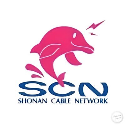 shonan_cable's profile picture