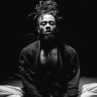 TheNoveliss's profile picture