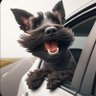Schnauzer profil fotoğrafı