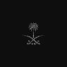 عبدالرحمن 1727م 🇸🇦⚔️'s profile picture