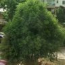min su profil fotoğrafı