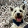 みっちゃん 的头像