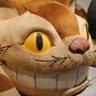 taro's profile picture