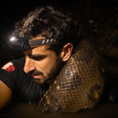 PaulRosolie's profile picture