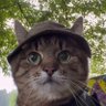 Igor's profile picture