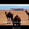 ابو علي profil fotoğrafı
