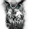 Фото профиля Dallars🦉