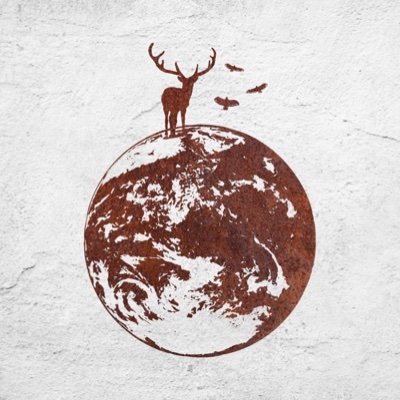 tacica_official's profile picture