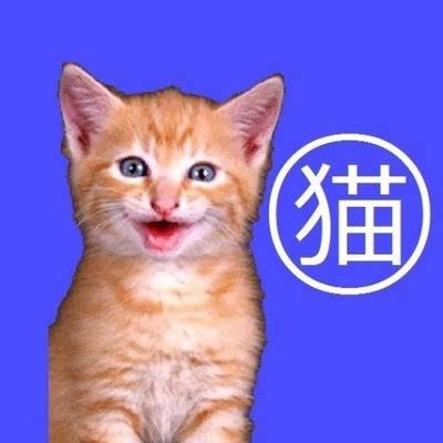 ねこやん's profile picture