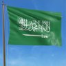 ناصر الحمد .'s profile picture