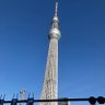 気まぐれのトラックドライバー profil fotoğrafı