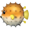 Swift 🌸 profil fotoğrafı
