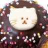 ユーリ🐈's profile picture