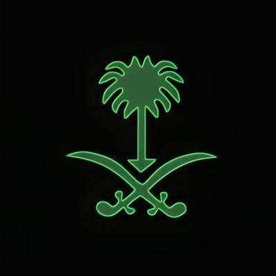 salem_ahmed25's profile picture