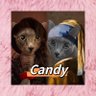 Profilbild von Candy❤️YeaJi💜Koko