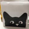Йольский Кот's profile picture