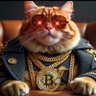 Profilbild von KC