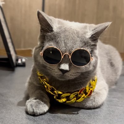 kimchiyong.eth's profile picture