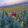 Elif profil fotoğrafı