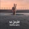 ذو الفقار profil fotoğrafı
