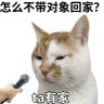 深圳小海's profile picture