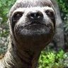 Muuli Tukka's profile picture