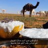 Фото профиля تركي المطيري