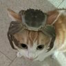 ev 🍉🦉 profil fotoğrafı
