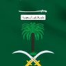 Фото профиля حفظ الله المملكة