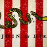 Son of Liberty 的头像