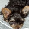 Profilbild von Mitchael Winsted