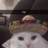 Brayan's profile picture