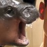 jirayut's profile picture