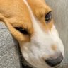 scarycooper 的头像