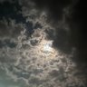 عايدة الحربي's profile picture