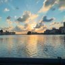 Maryam Elqenawy's profile picture