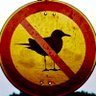 Фото профиля Don’t Feed The Seagulls