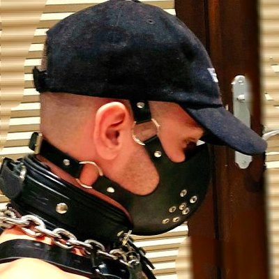 Alphaboi3297's profile picture