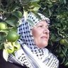 🔻🪽فلسطينية🪽🔻#طوفان_الأقصى's profile picture