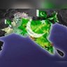 Profilbild von ProPAKISTANI RANA UMAIR ( free palestine )